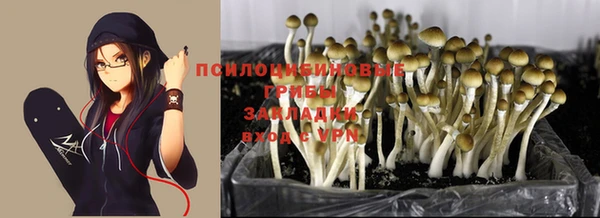 прущие крисы Козельск