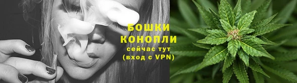 крисы Кодинск