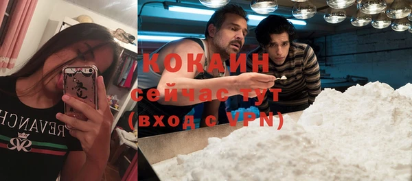 соль курить ск Козловка