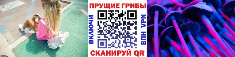 Псилоцибиновые грибы Psilocybine cubensis  Купить закладки  Липецк 